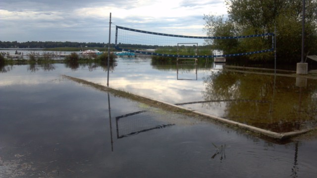 arrowwood8-27-11-herdan