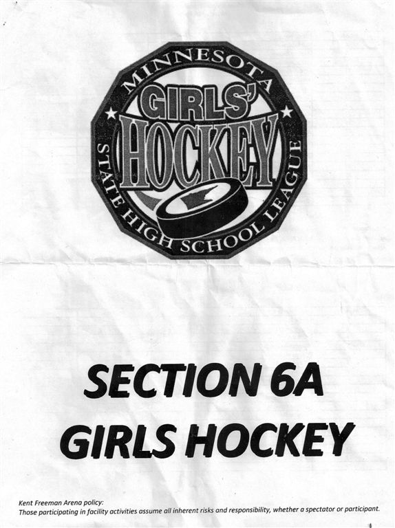 hockeysection'13-1