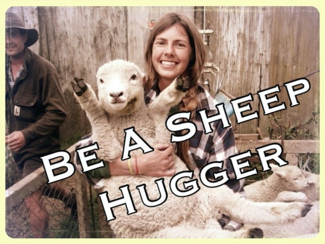 daniellesheeperhugger