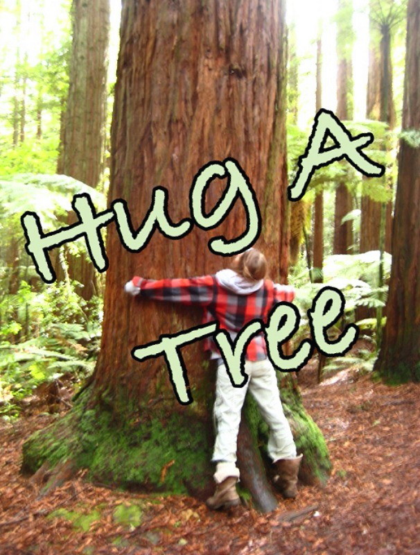 danielletreehug