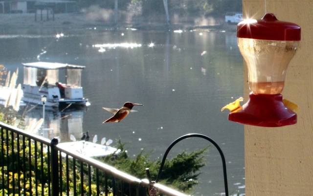 12-31-13-38-1 - Copy