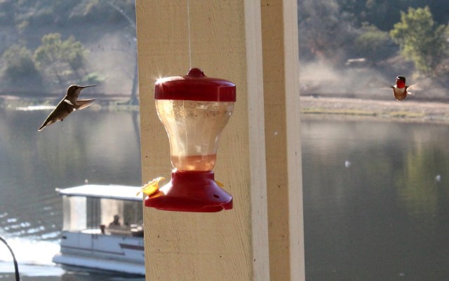 12-31-13-44-1 - Copy