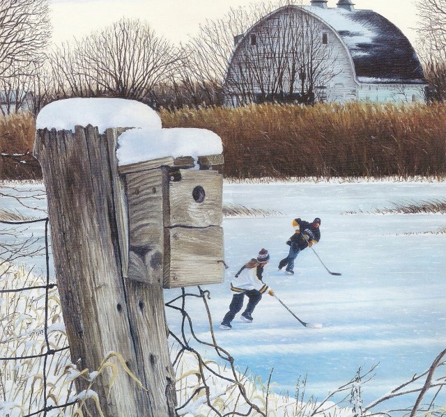 state hockey '14-1-2 - Copy