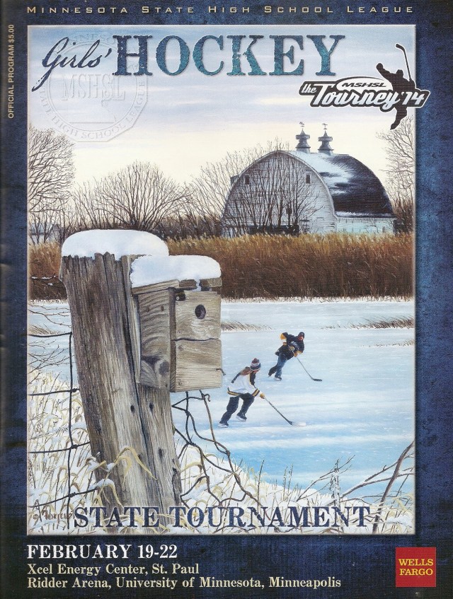 state hockey '14-1 - Copy