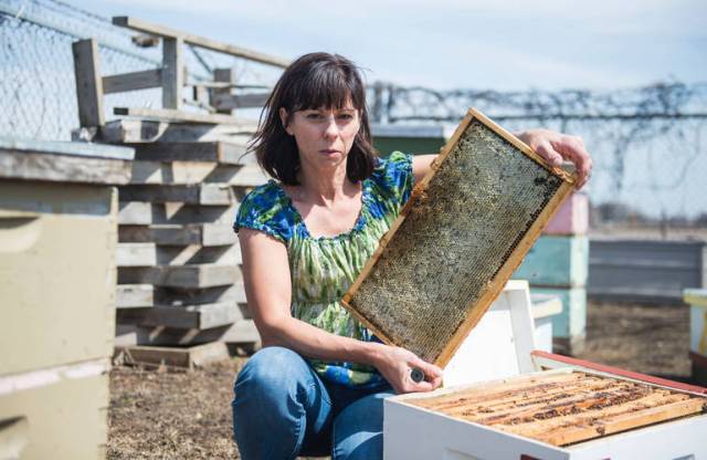 materman-becky4-29-14