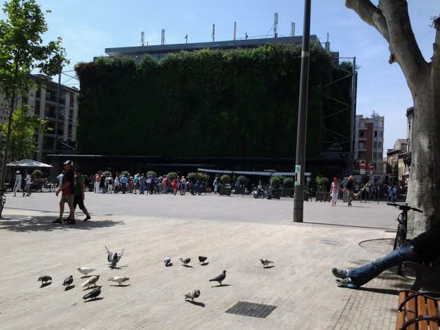 20140607_113423 - Copy