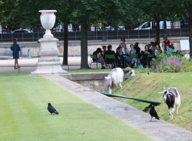 6-16-14-113-1 - Copy