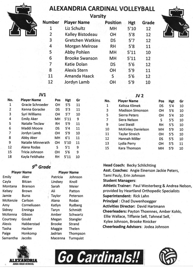 volleyball '14 - Copy