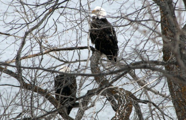 11-12-14-13-1 - Copy