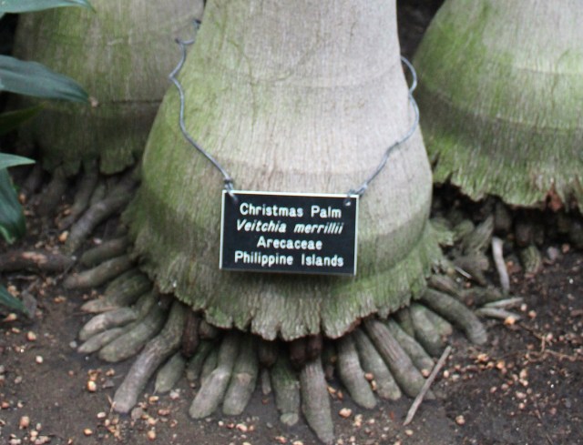 12-14-14-11-1 - Copy