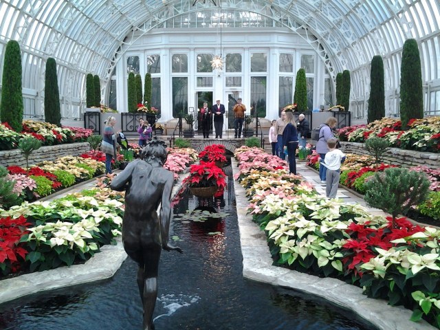 20141214_111616 - Copy