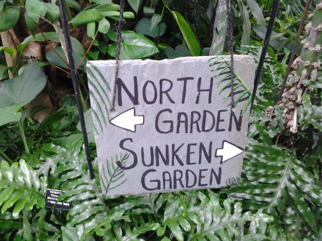 20141214_111945 - Copy