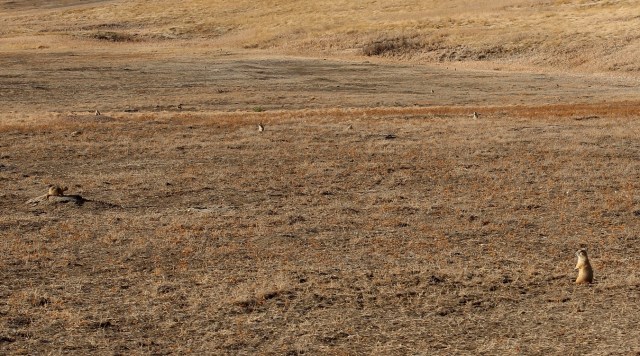 3-18-15-102-1 - Copy