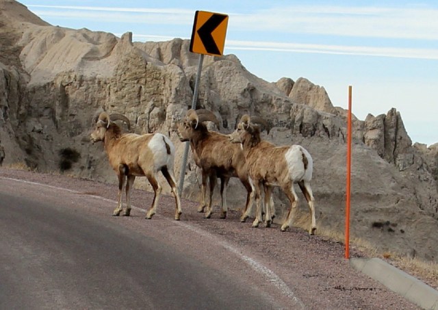 3-18-15-114-1 - Copy