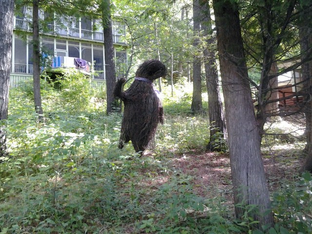 20150805_093444 - Copy