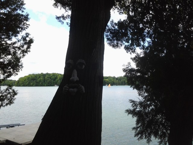 20150805_093729 - Copy