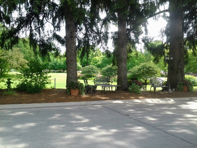 20150805_100831 - Copy