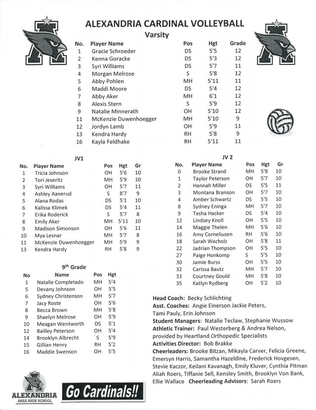 volleyball '15 - Copy