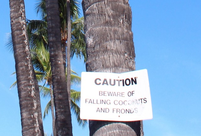 11-27-15-48-1 - Copy