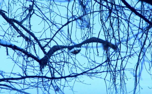 12-18-15-12-1 - Copy