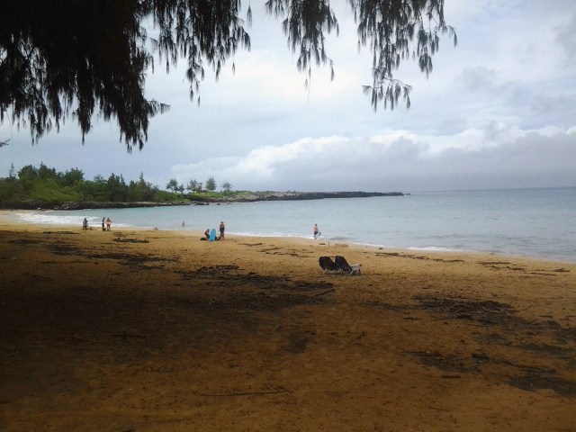 20151120_114022 - Copy