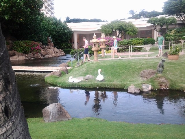 20151124_143916 - Copy