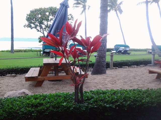 20151124_153651 - Copy