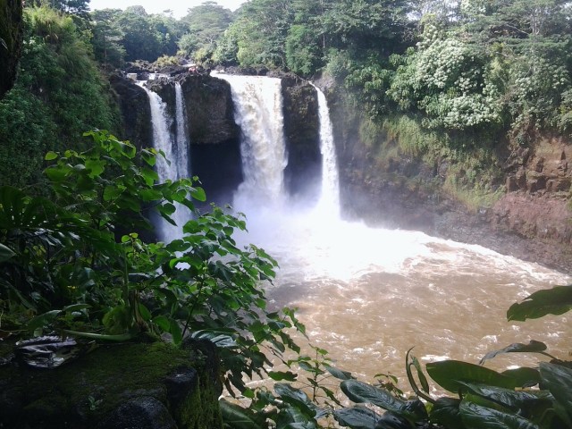 20151128_123540 - Copy