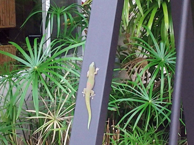 20151129_151412 - Copy