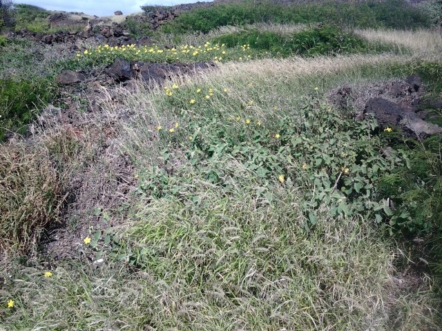 20151202_132438 - Copy