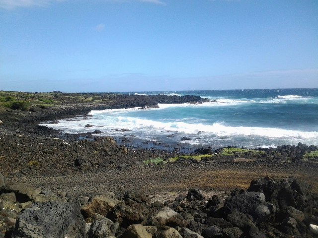 20151202_132800 - Copy