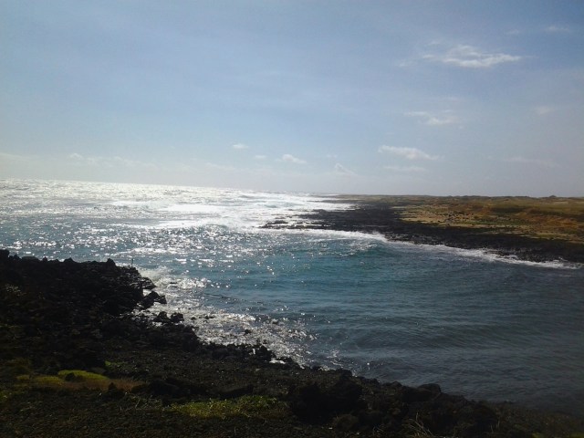 20151202_132808 - Copy