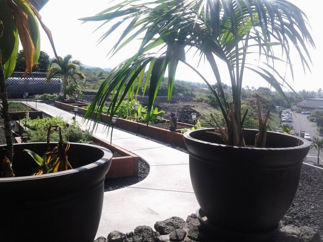 20151203_111214 - Copy