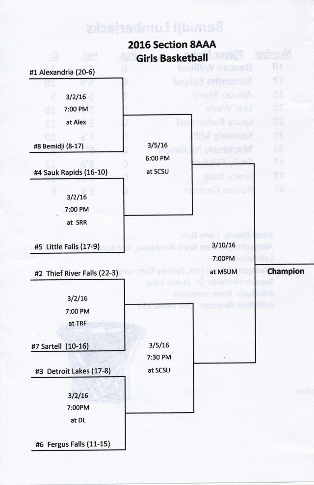 girls b'ball sections '15-16-2 - Copy