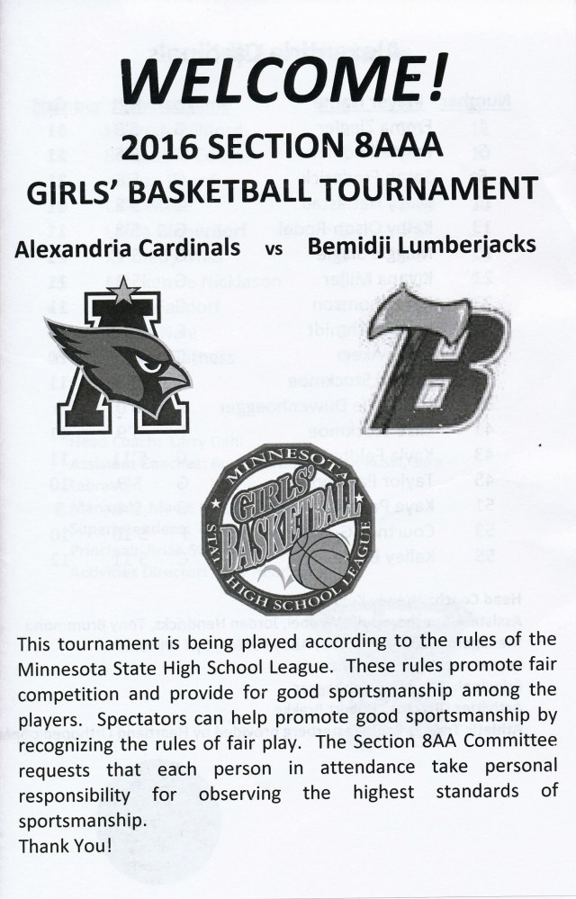 girls b'ball sections '15-16 - Copy