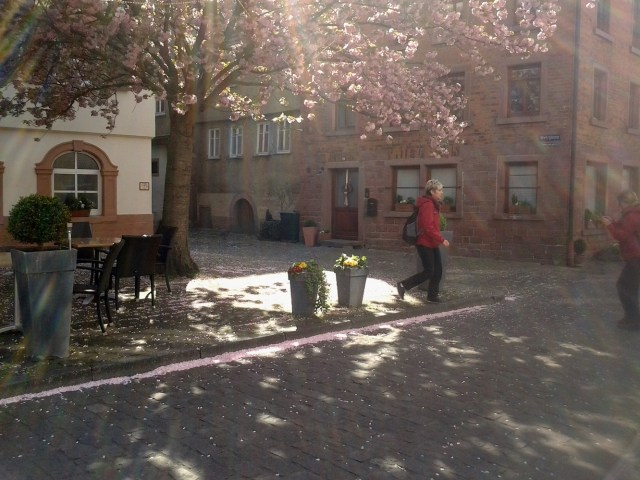 20160502_094754-copy