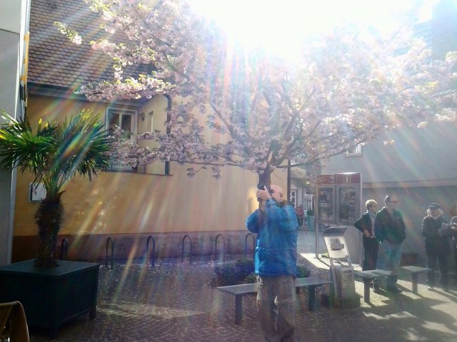 20160502_094947-copy