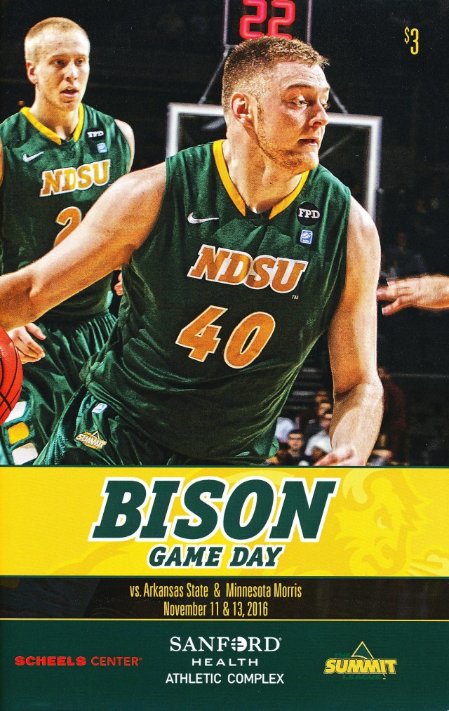 bison-11-11-16-1-copy