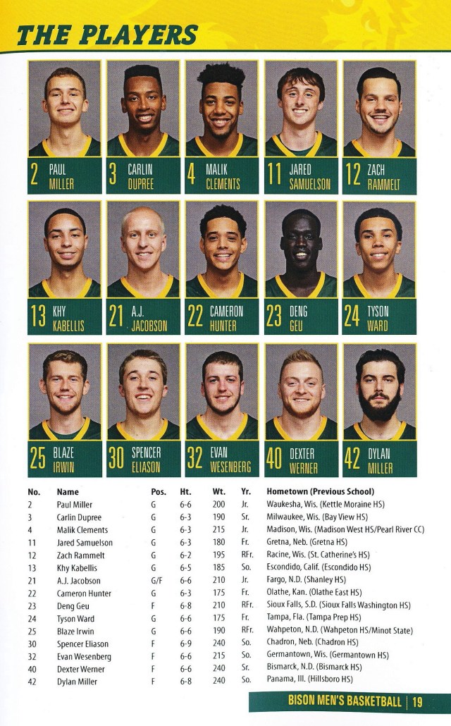 bison-11-11-16-3-copy