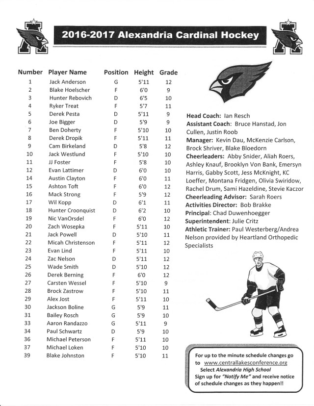 boys-hockey-16-17-copy