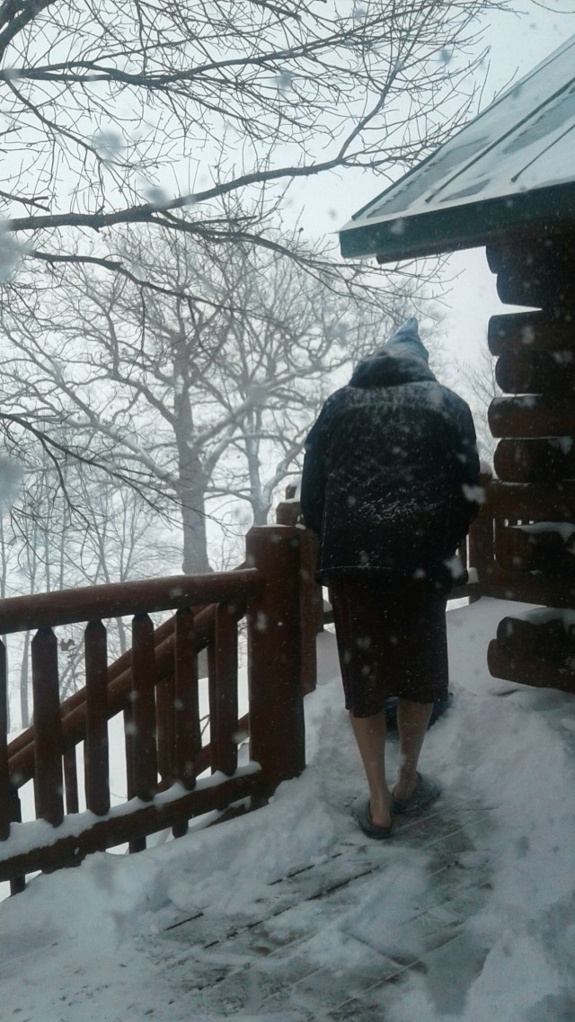 20170110_100321-copy