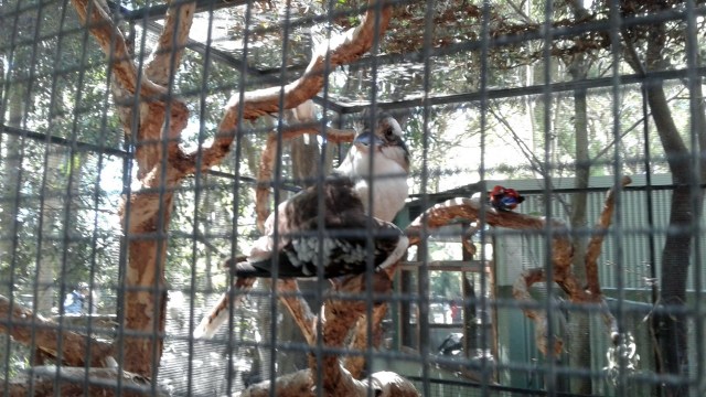 20170113_222406-copy