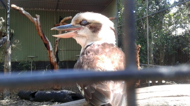 20170113_222712-copy