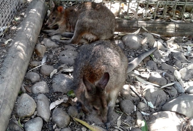 20170113_222750-copy