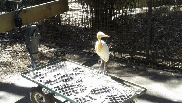 20170113_222941-copy