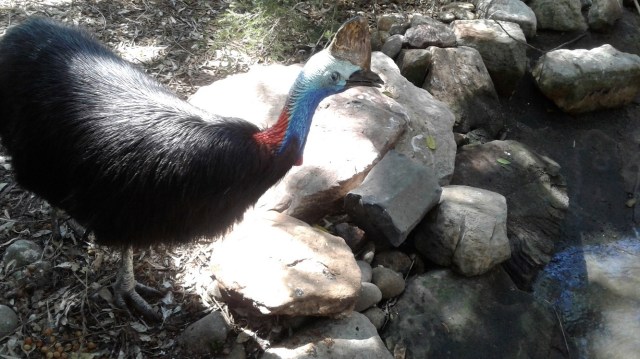 20170113_223057-copy