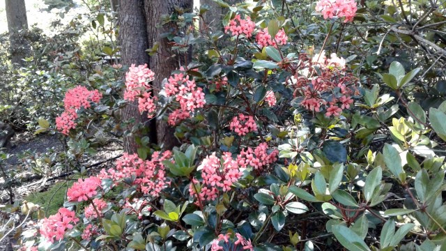 20170118_110258-copy