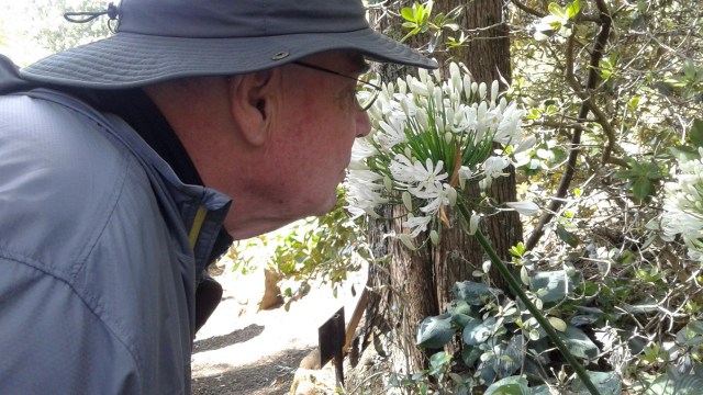 20170118_110556-copy