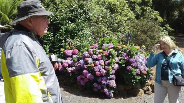 20170118_111423-copy