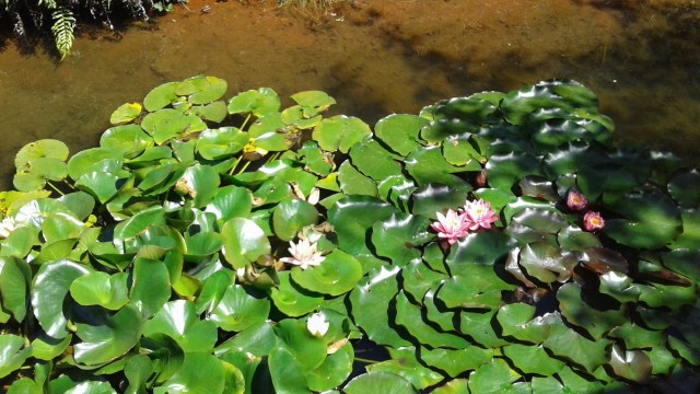 20170118_112635-copy